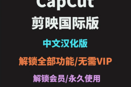 剪映破解版（电脑+手机）+capcut 破解版（电脑+手机版）